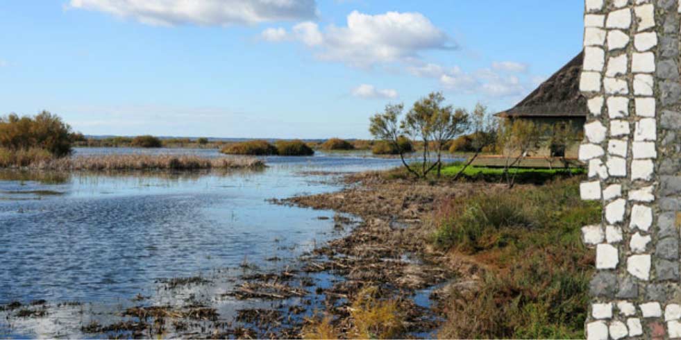 Parque Natural Doñana